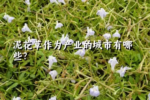 泥花草作为产业的城市有哪些？