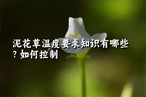 泥花草温度要求知识有哪些？如何控制