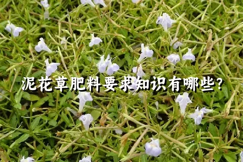 泥花草肥料要求知识有哪些？