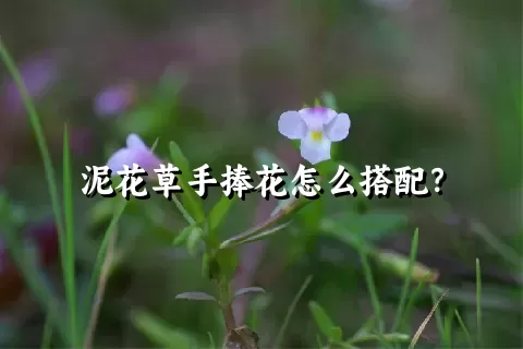 泥花草手捧花怎么搭配？