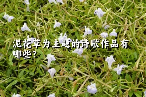 泥花草为主题的诗歌作品有哪些？