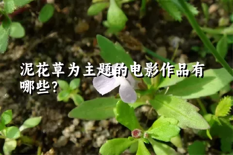 泥花草为主题的电影作品有哪些？