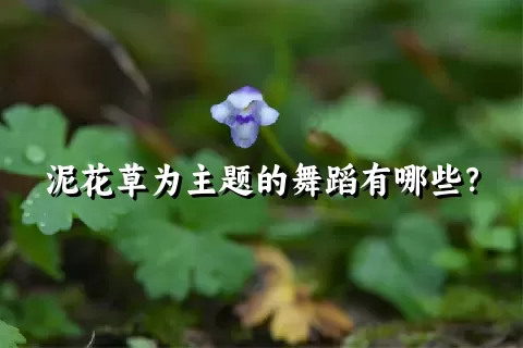 泥花草为主题的舞蹈有哪些？