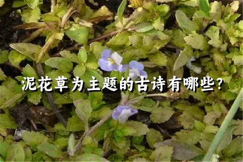 泥花草为主题的古诗有哪些？