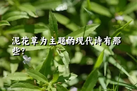 泥花草为主题的现代诗有那些？