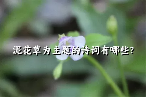 泥花草为主题的诗词有哪些？