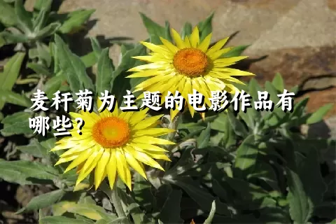 麦秆菊为主题的电影作品有哪些？