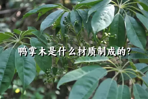 鸭掌木是什么材质制成的？