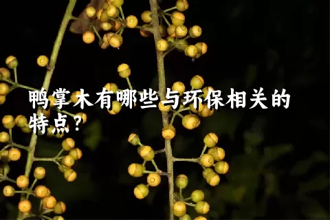 鸭掌木有哪些与环保相关的特点？