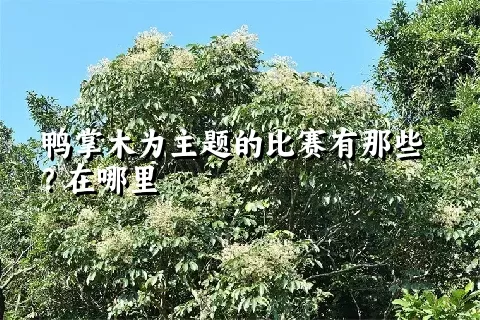 鸭掌木为主题的比赛有那些？在哪里