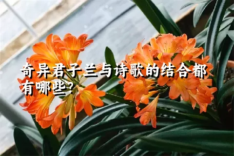 奇异君子兰与诗歌的结合都有哪些？