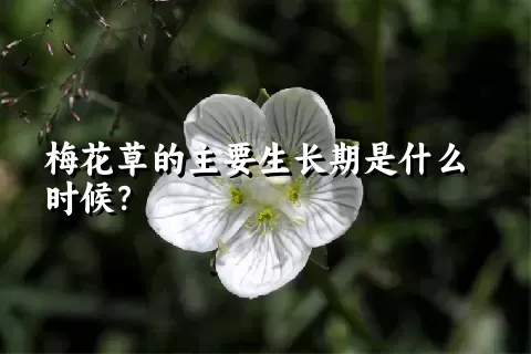 梅花草的主要生长期是什么时候？