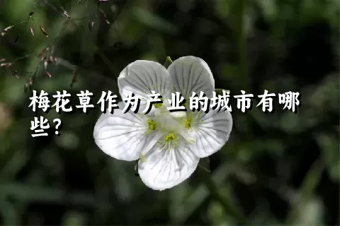 梅花草作为产业的城市有哪些？