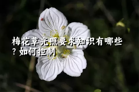 梅花草光照要求知识有哪些？如何控制