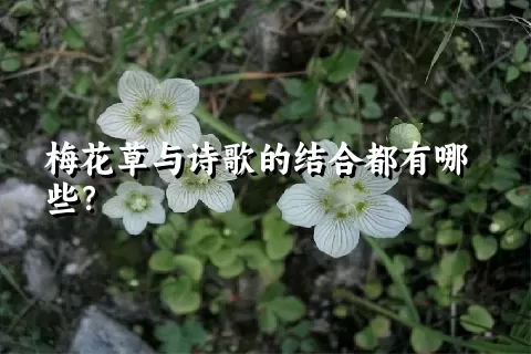 梅花草与诗歌的结合都有哪些？