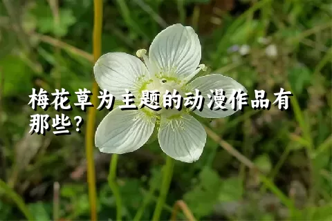 梅花草为主题的动漫作品有那些？