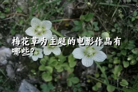 梅花草为主题的电影作品有哪些？