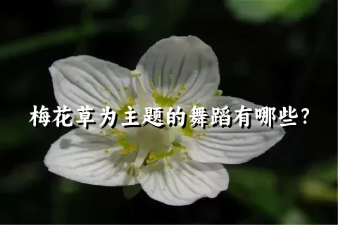 梅花草为主题的舞蹈有哪些？