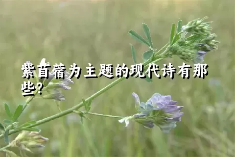 紫苜蓿为主题的现代诗有那些？