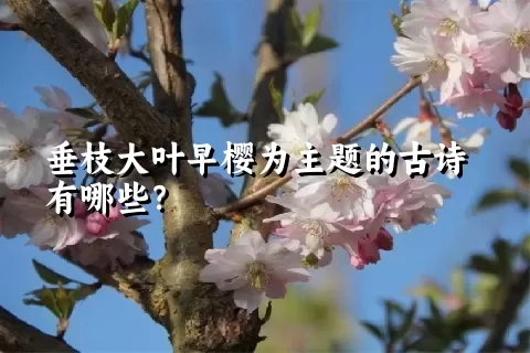 垂枝大叶早樱为主题的古诗有哪些？