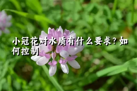 小冠花对水质有什么要求？如何控制