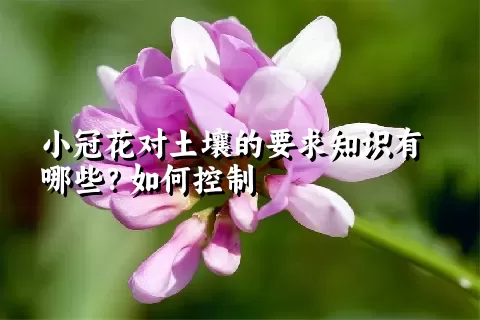 小冠花对土壤的要求知识有哪些？如何控制