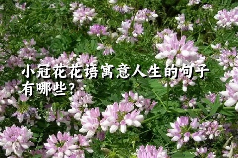 小冠花花语寓意人生的句子有哪些？