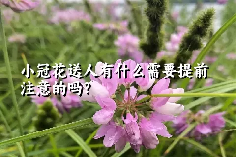 小冠花送人有什么需要提前注意的吗？