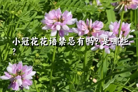 小冠花花语禁忌有吗？是哪些？