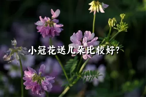 小冠花送几朵比较好？