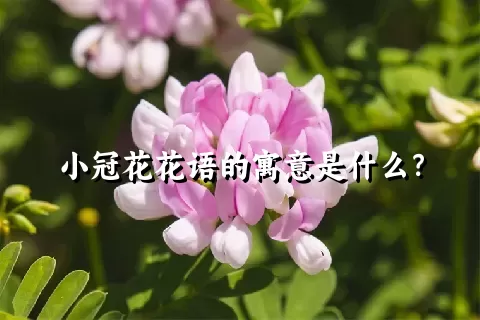 小冠花花语的寓意是什么？