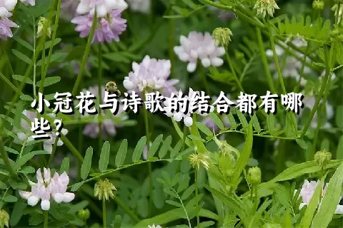 小冠花与诗歌的结合都有哪些？