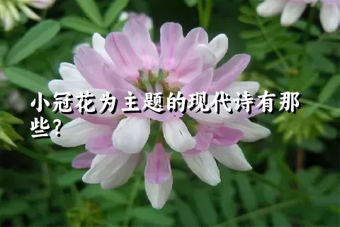 小冠花为主题的现代诗有那些？