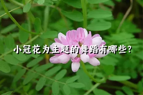 小冠花为主题的舞蹈有哪些？