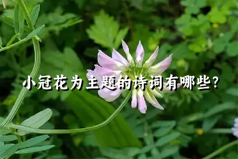 小冠花为主题的诗词有哪些？