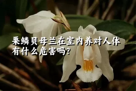 栗鳞贝母兰在室内养对人体有什么危害吗？