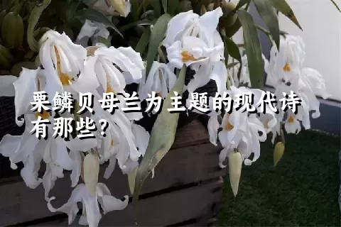 栗鳞贝母兰为主题的现代诗有那些？