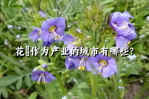 花荵作为产业的城市有哪些？