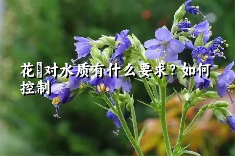 花荵对水质有什么要求？如何控制