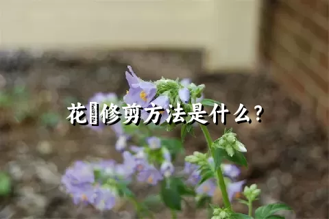 花荵修剪方法是什么？