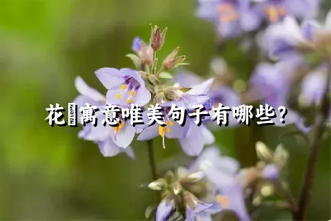 花荵寓意唯美句子有哪些？