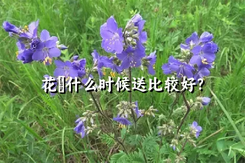 花荵什么时候送比较好？