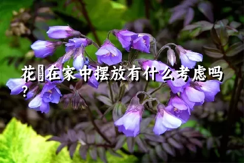 花荵在家中摆放有什么考虑吗？