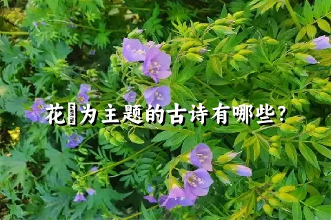 花荵为主题的古诗有哪些？