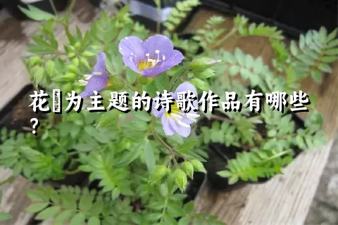 花荵为主题的诗歌作品有哪些？