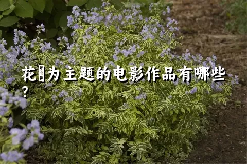 花荵为主题的电影作品有哪些？