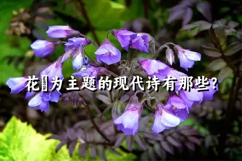 花荵为主题的现代诗有那些？