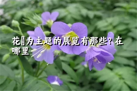 花荵为主题的展览有那些？在哪里