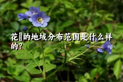 花荵的地域分布范围是什么样的？