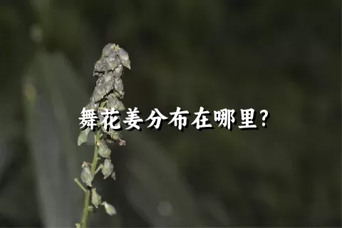 舞花姜分布在哪里?